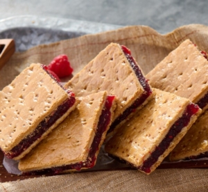 BNJLM Fruit Squares BNJLM Fruit Squares